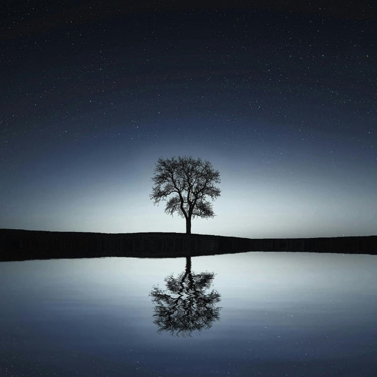 Part of Serenity