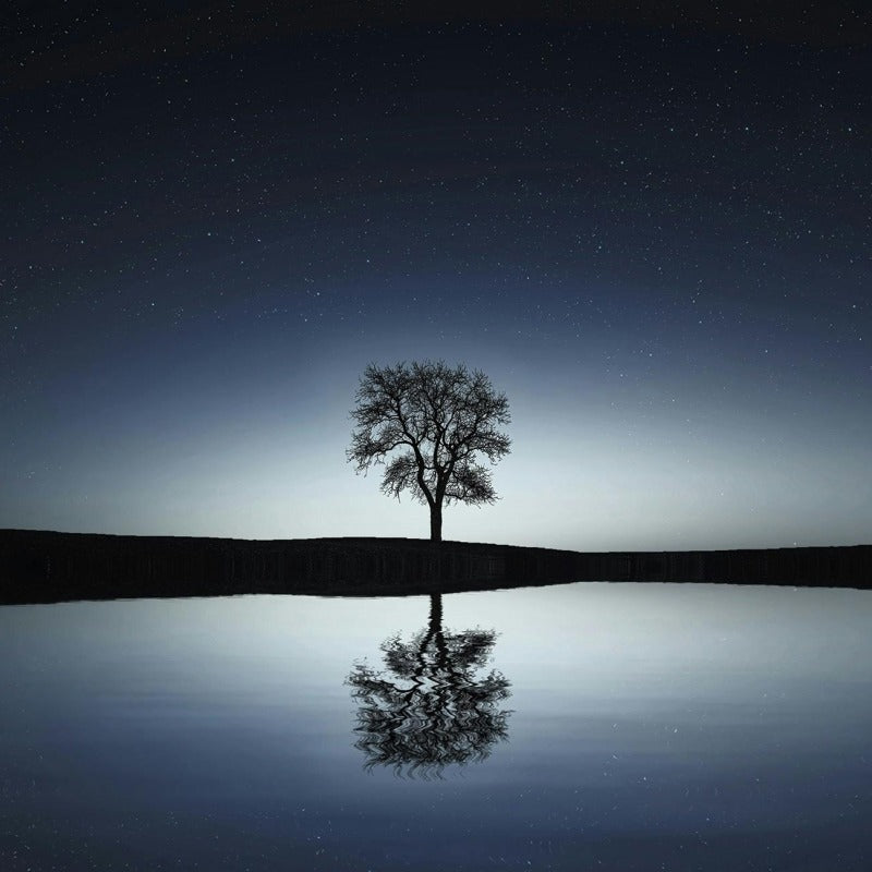 Part of Serenity